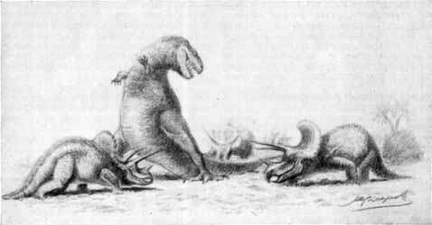 Карнозавр в бою с цератопсами (третья зона)